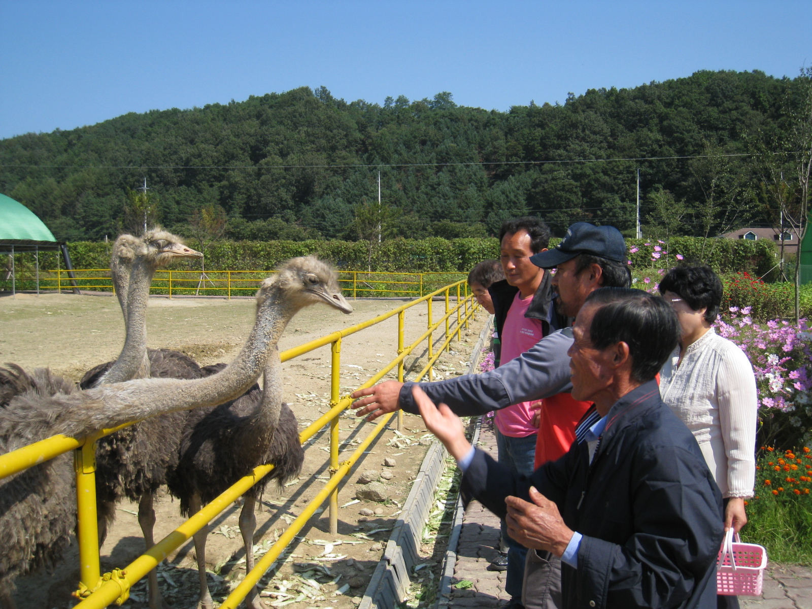 타조농장 방문