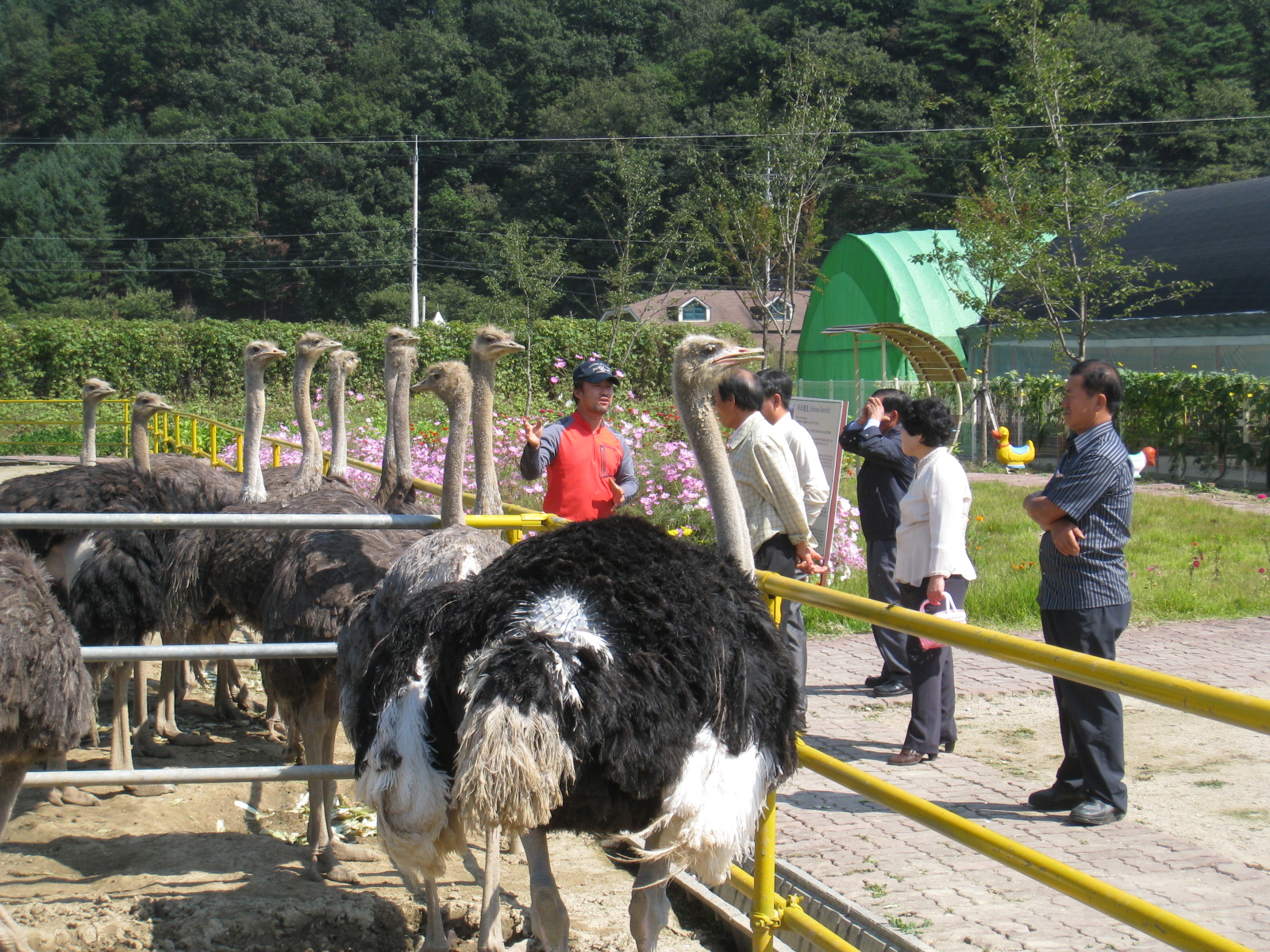타조농장 방문
