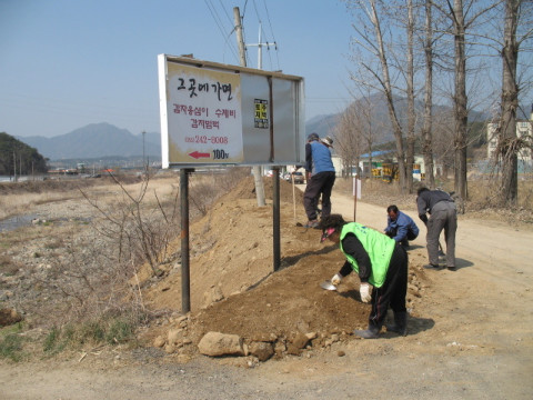 지내1리 가꾸미 사업
