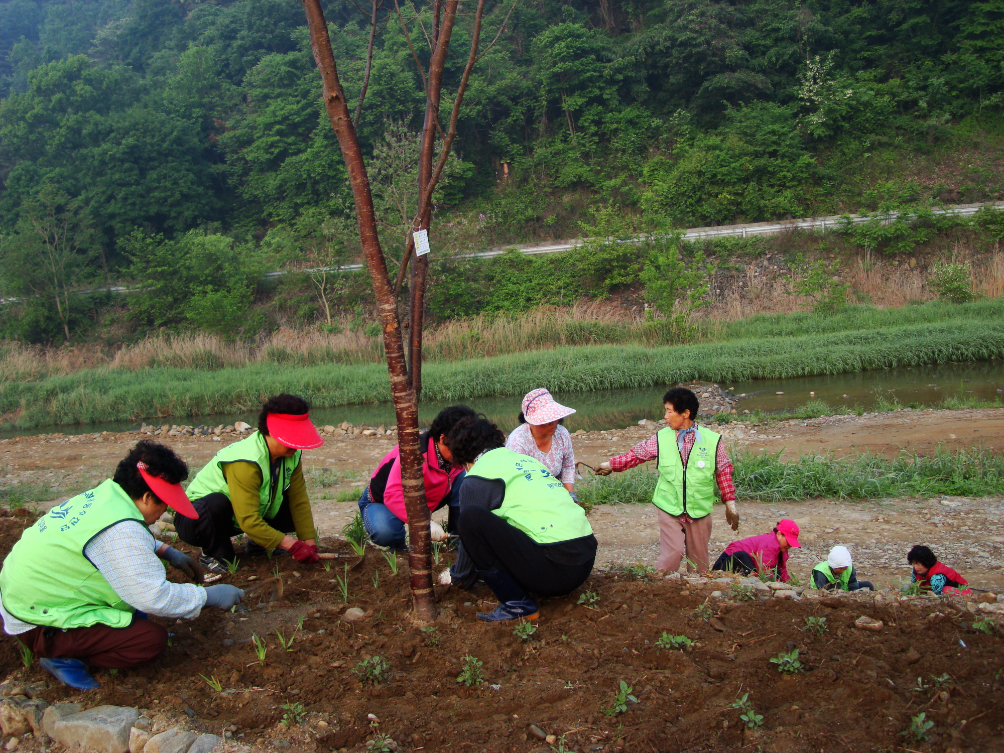 가산골 새/농 추진단 화단 제초작업(제방)