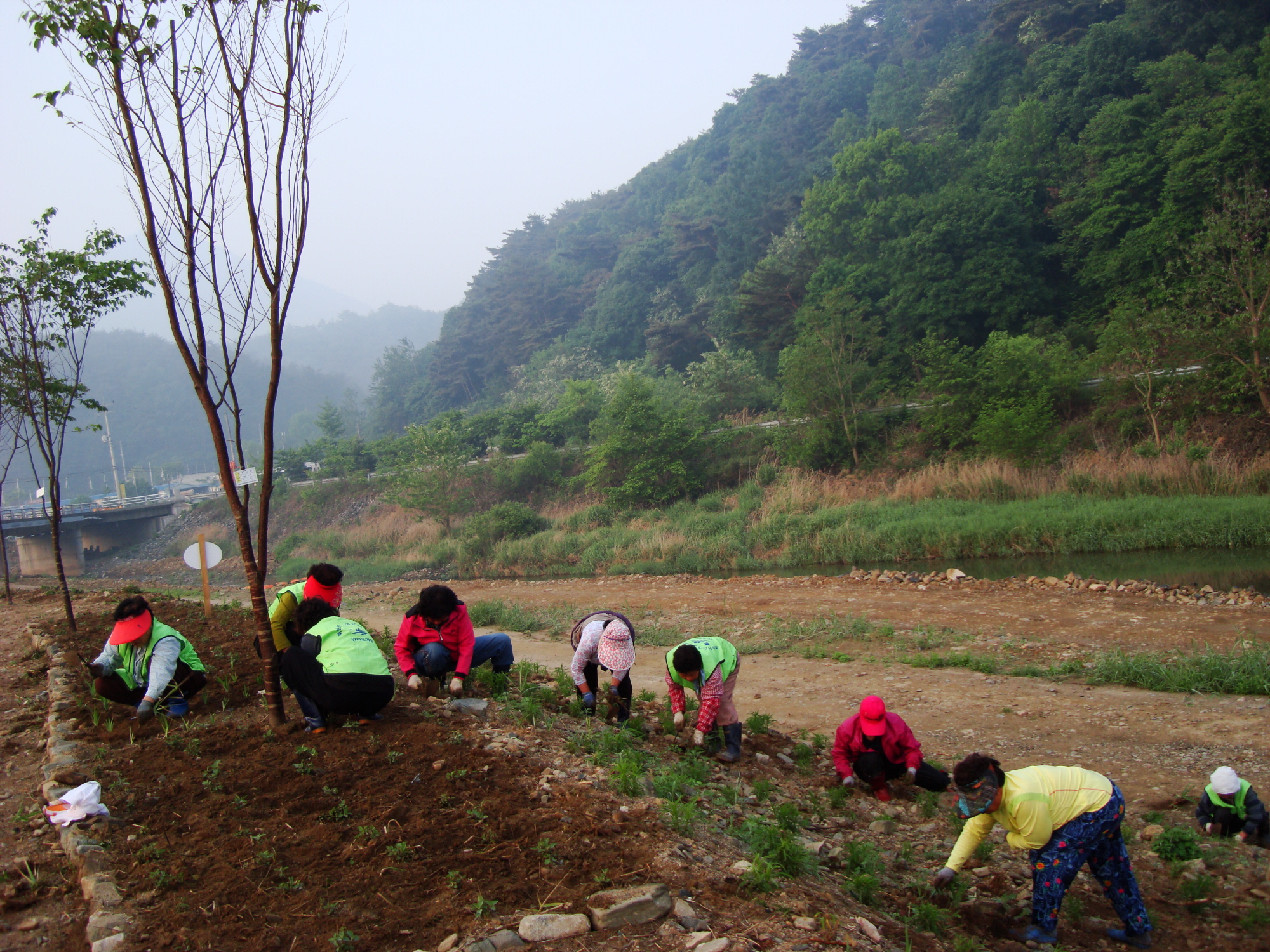 가산골 새/농 추진단 화단 제초작업(제방)