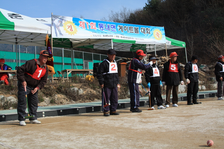 제1회 동내면 게이트볼대회