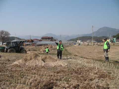 가산골마을 수도작목반 공동작업