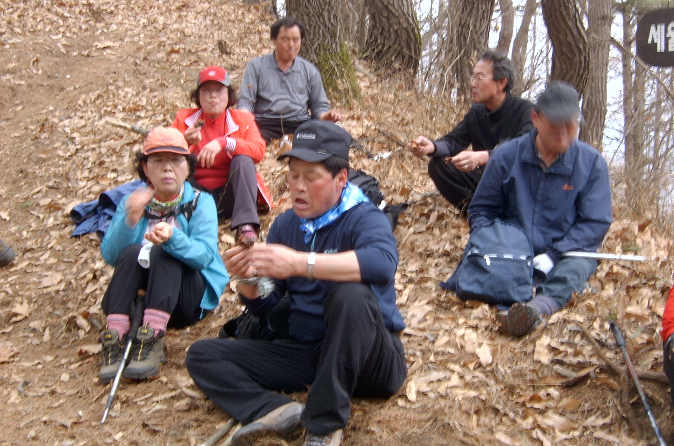 산불예방 캠페인 등반