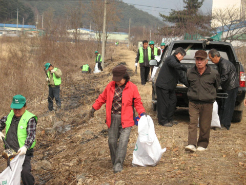 지내천 정화활동
