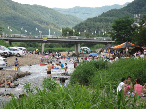 지내천을 찿은 시민 (8월7.8일)