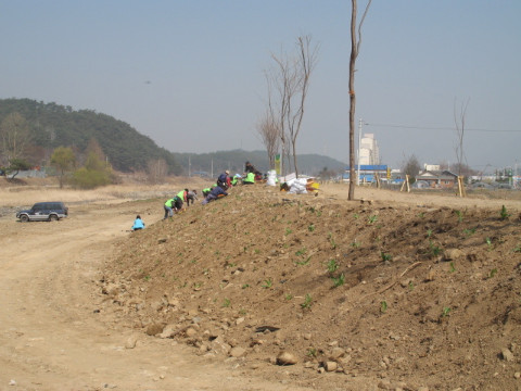 춘천 가꾸미 운동(꽃심기)