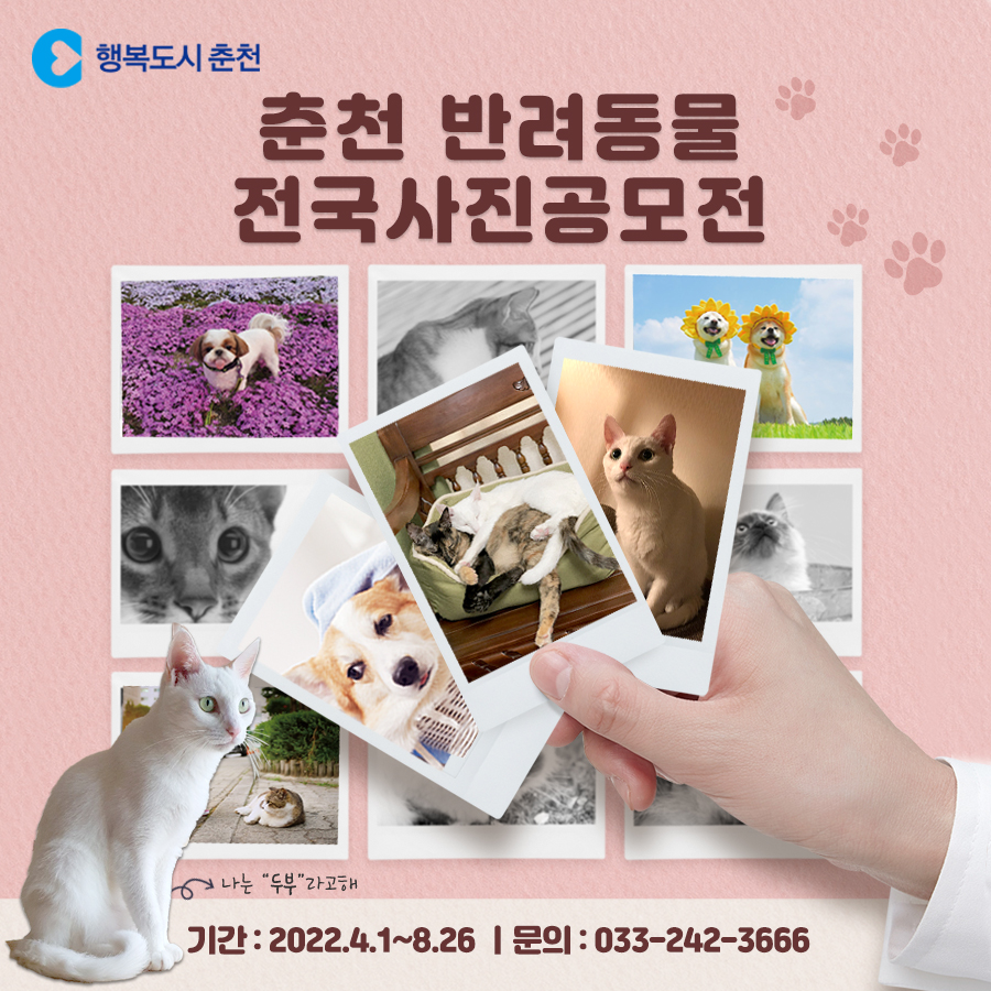 춘천 반려동물 전국사진공모전 안내