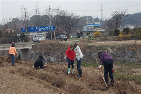 가산로 꽃 가꾸기 사업(2020.3.25.)