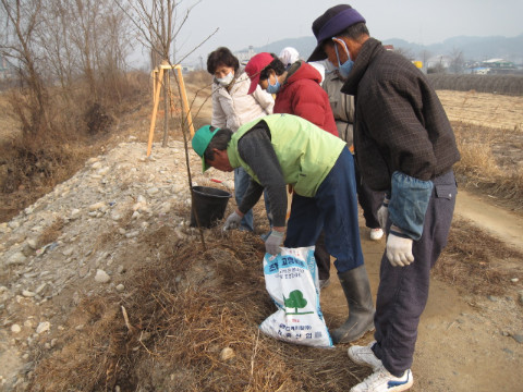 가산권역 식재나무 거름주기