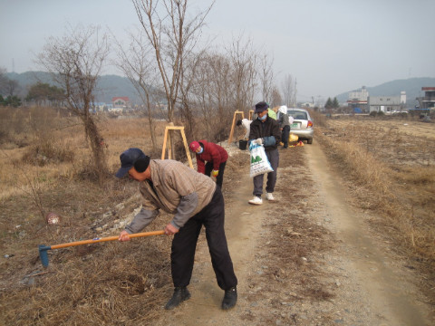 가산권역 식재나무 거름주기