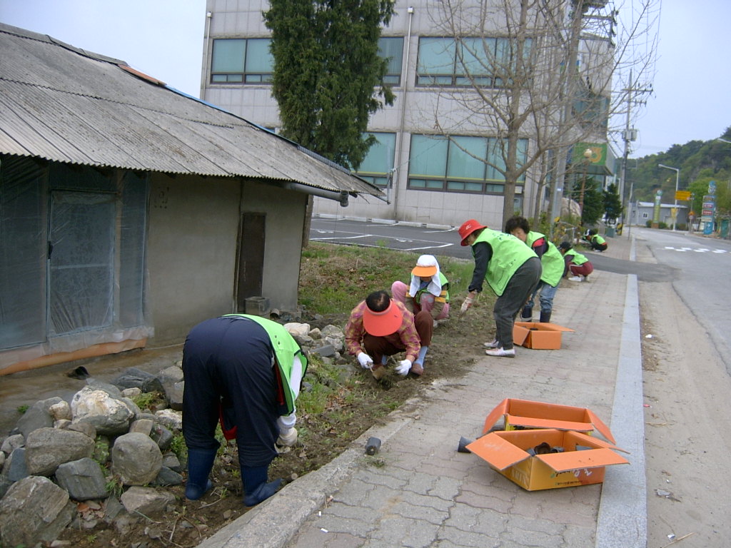 도로변 야생화 식재