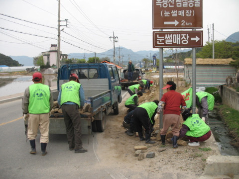 도로변 야생화 식재