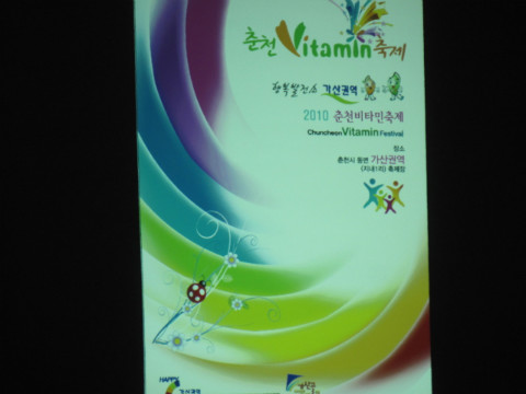 2010춘천비타민축제 운영위원회의