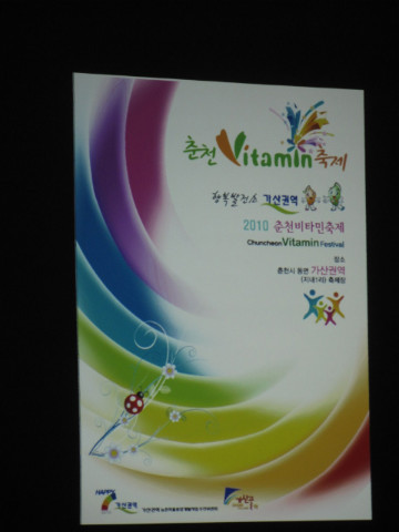 2010춘천비타민축제 운영위원회의