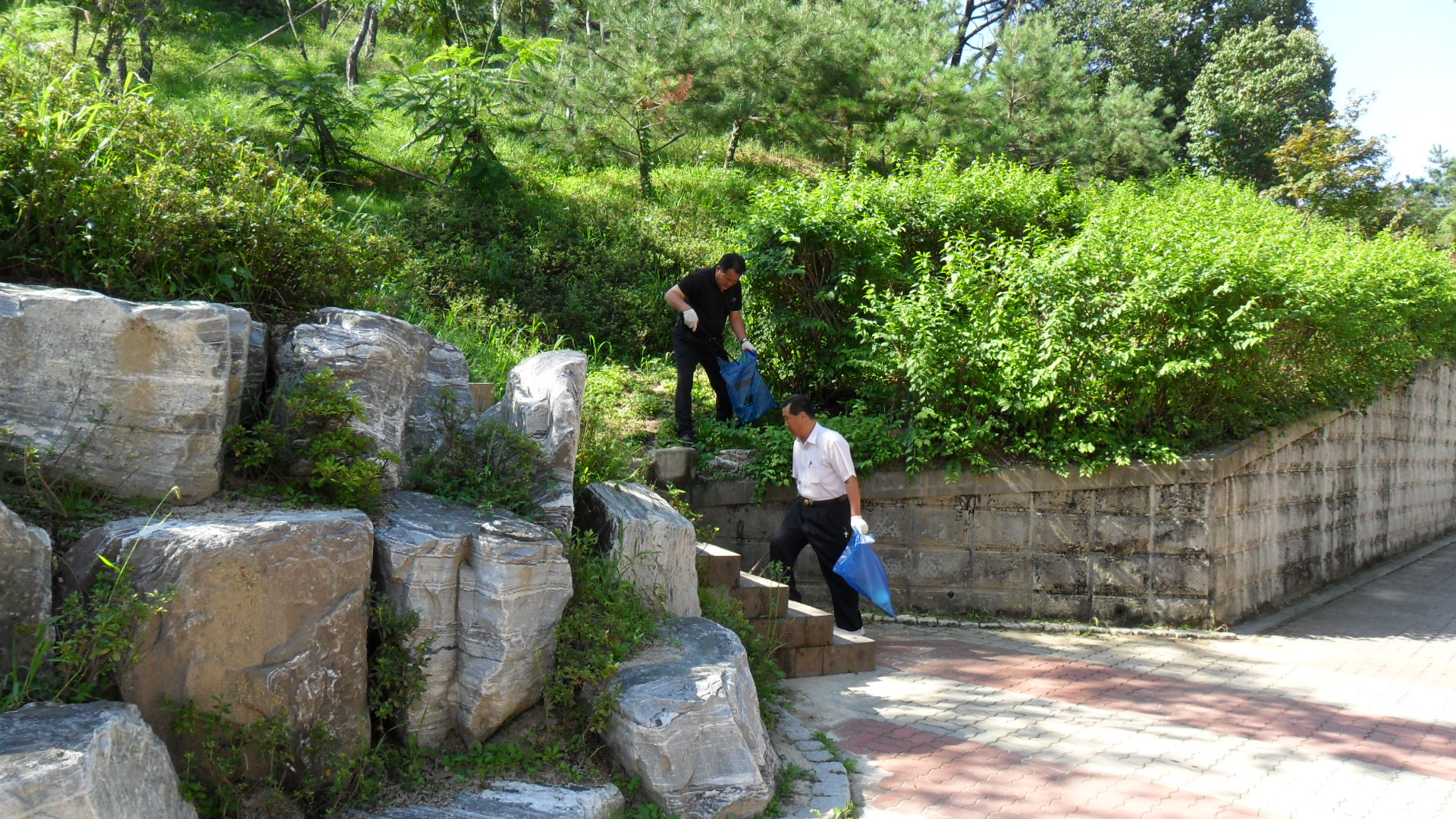 국토대청결활동