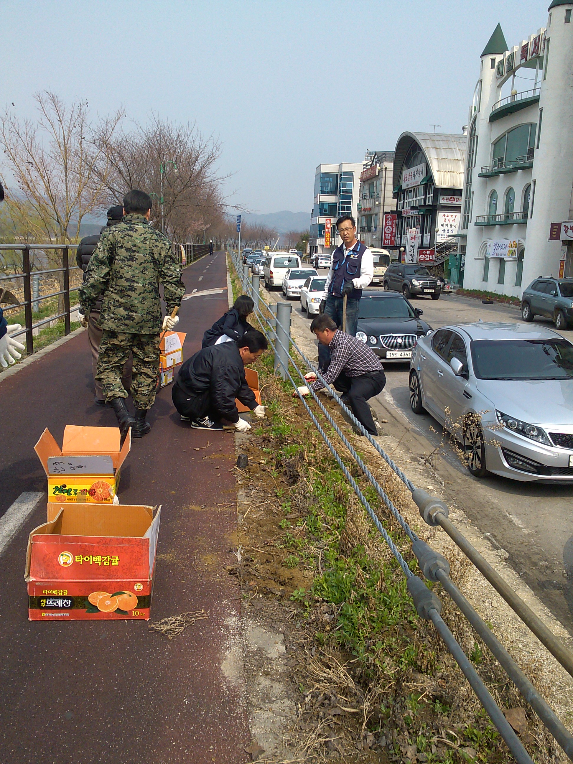 2013년도 가꾸미사업 수목식재