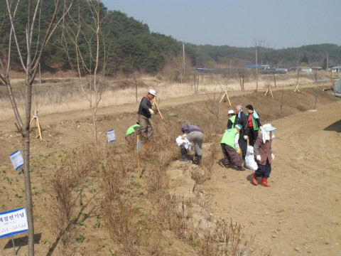 춘천 가꾸미 운동(꽃심기)