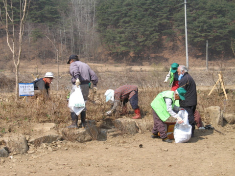 춘천 가꾸미 운동(꽃심기)