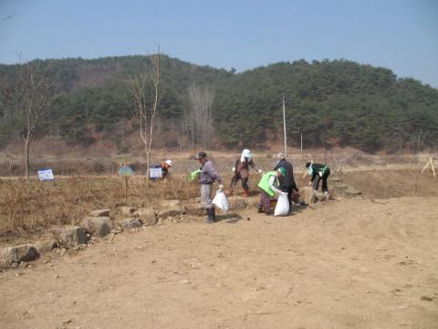 춘천 가꾸미 운동(꽃심기)
