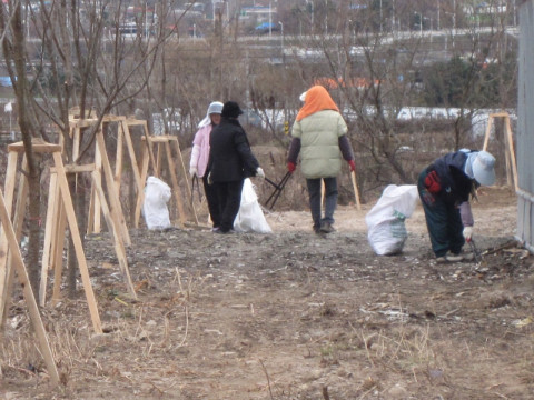 가산권역 지내천변 정화활동