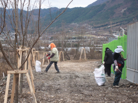 가산권역 지내천변 정화활동