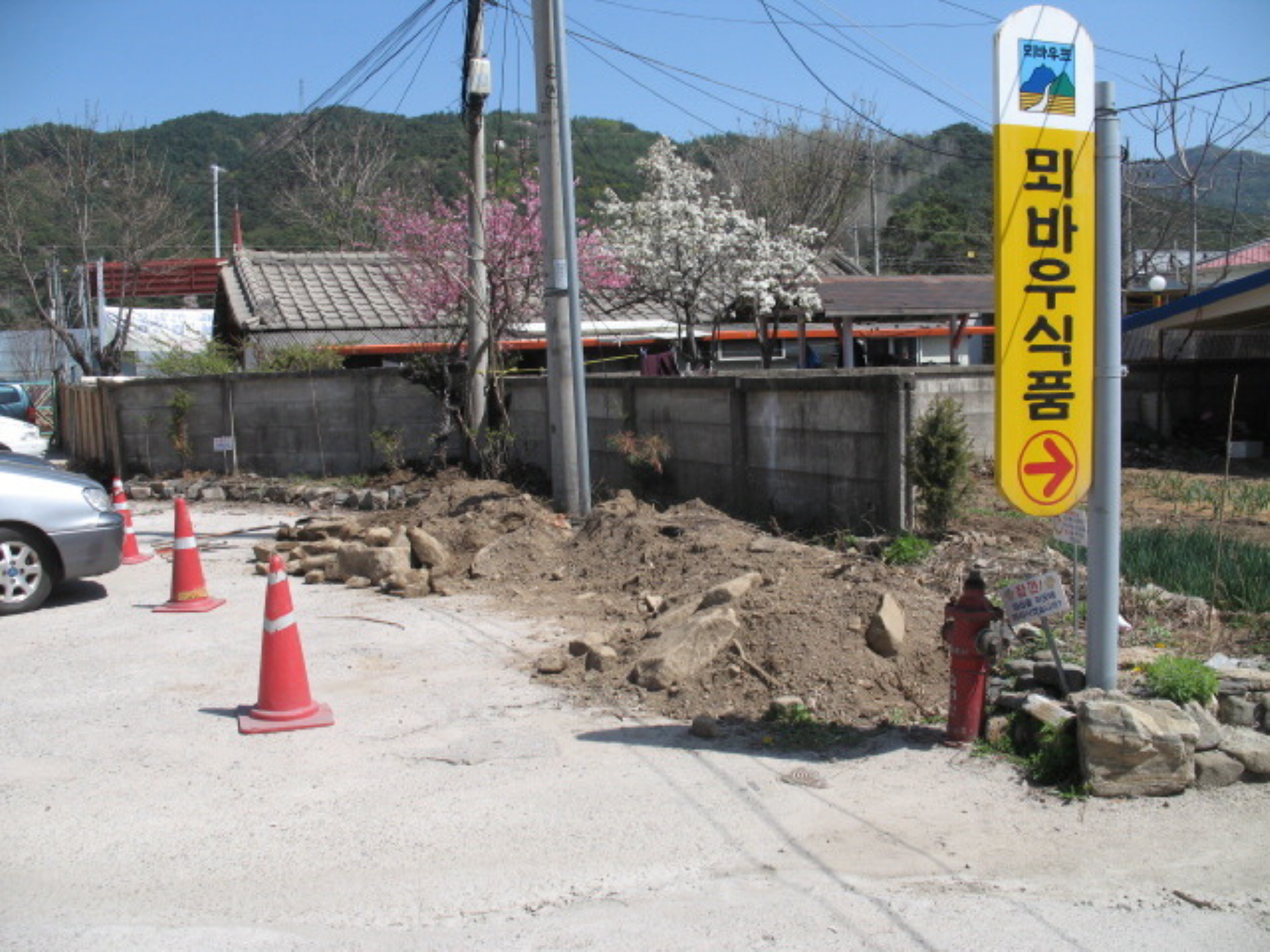 화단조성 및 야생화 식재