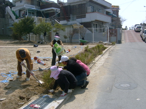 2010년 나무심기 행사(자연재해위험지구 내)