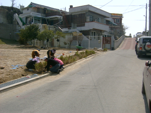 2010년 나무심기 행사(자연재해위험지구 내)