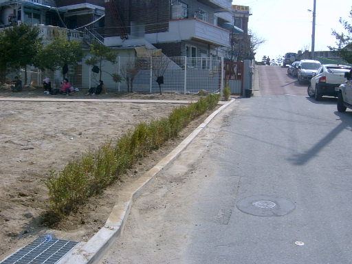 2010년 나무심기 행사(자연재해위험지구 내)