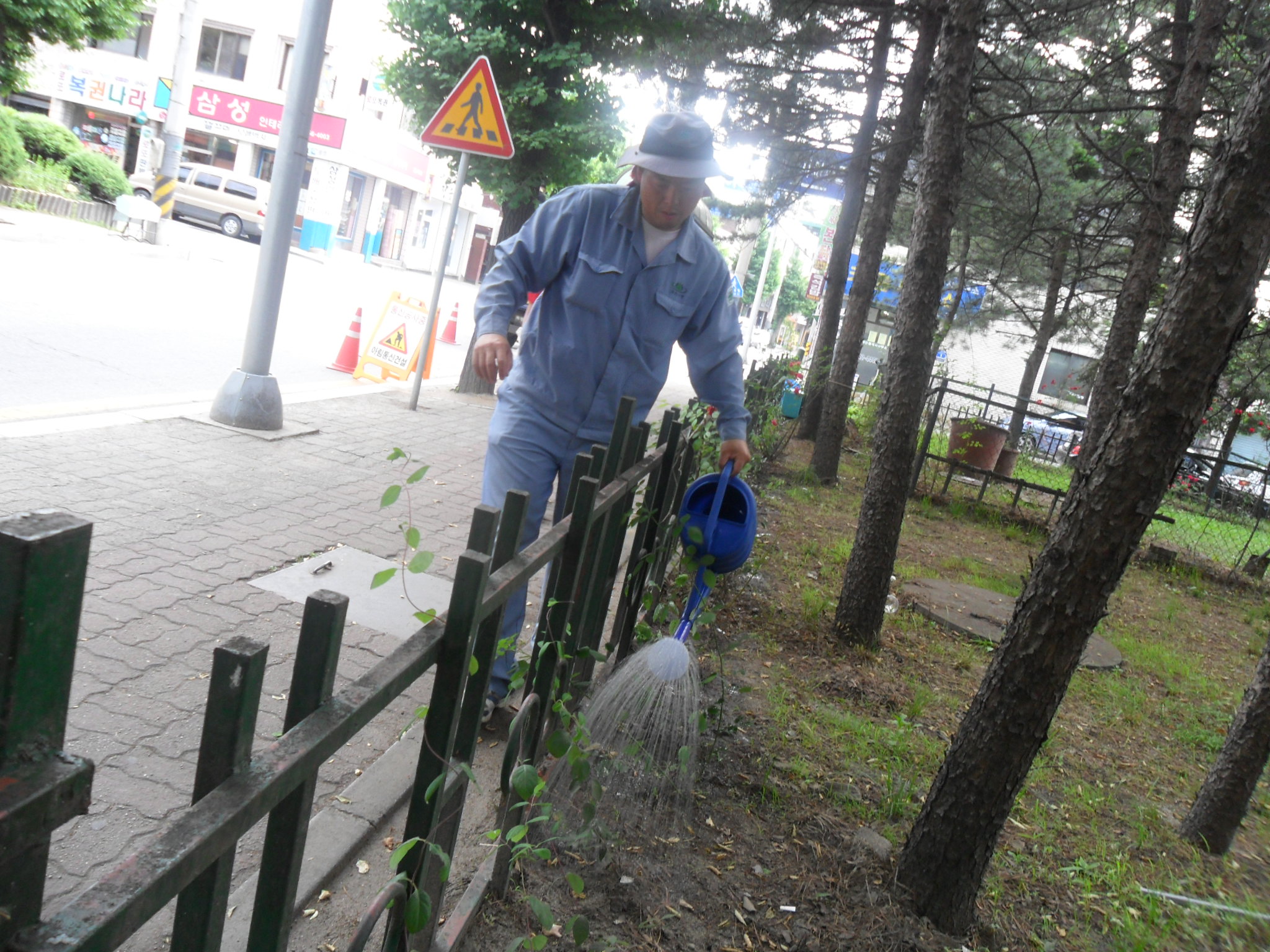 가로화분 등 물주기 실시