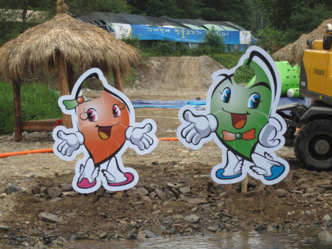 2010춘천비타민축제장
