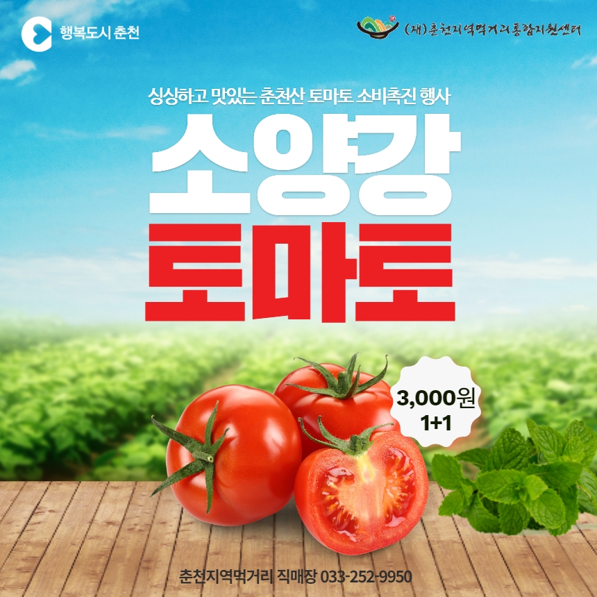 토마토 소비촉진 행사 안내