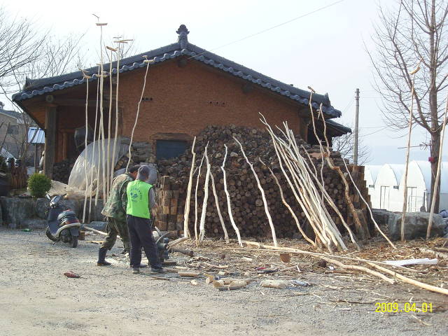 지내2리 제1회 장승 및 솟대깍지 대회 준비