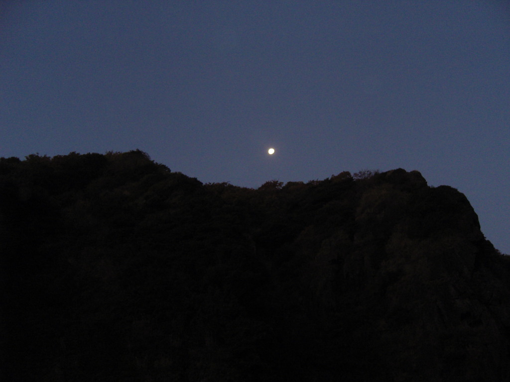 울릉도 夜