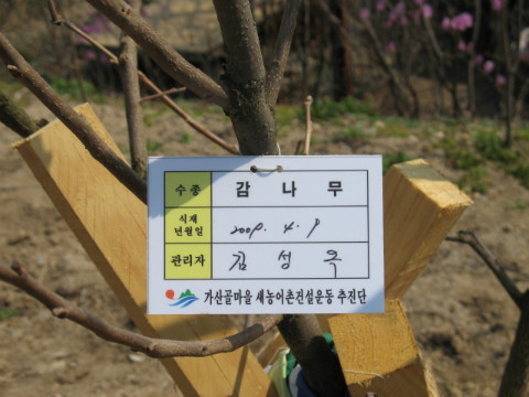 식재나무 관리자 명찰 달기