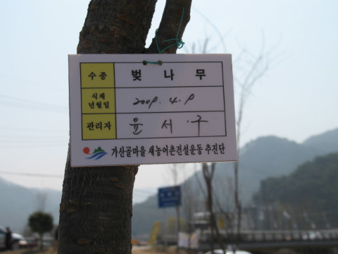 식재나무 관리자 명찰 달기
