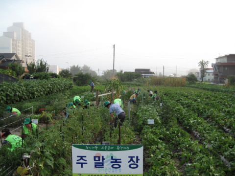가산골마을 새/농 주말농장관리