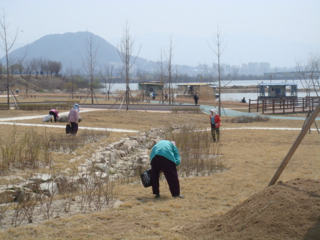 금산2리 문학공원 자연정화 활동