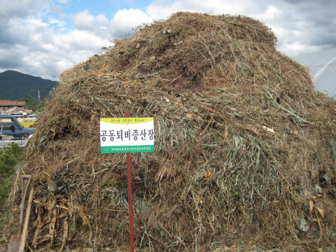 2009 퇴비증산 심사
