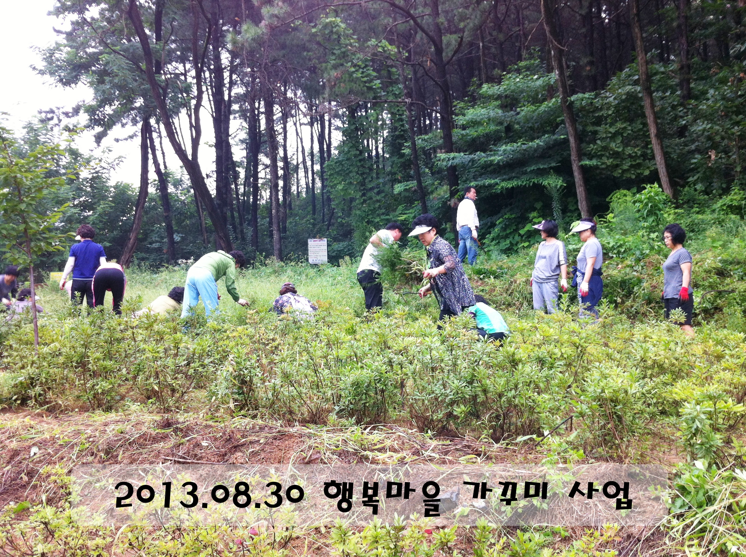 13.08.30 가꾸미 사업