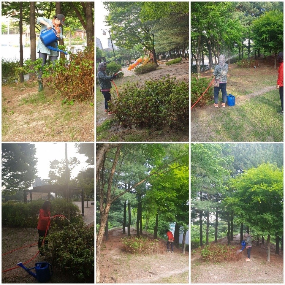 190601 무릉공원 가꾸미 살수작업
