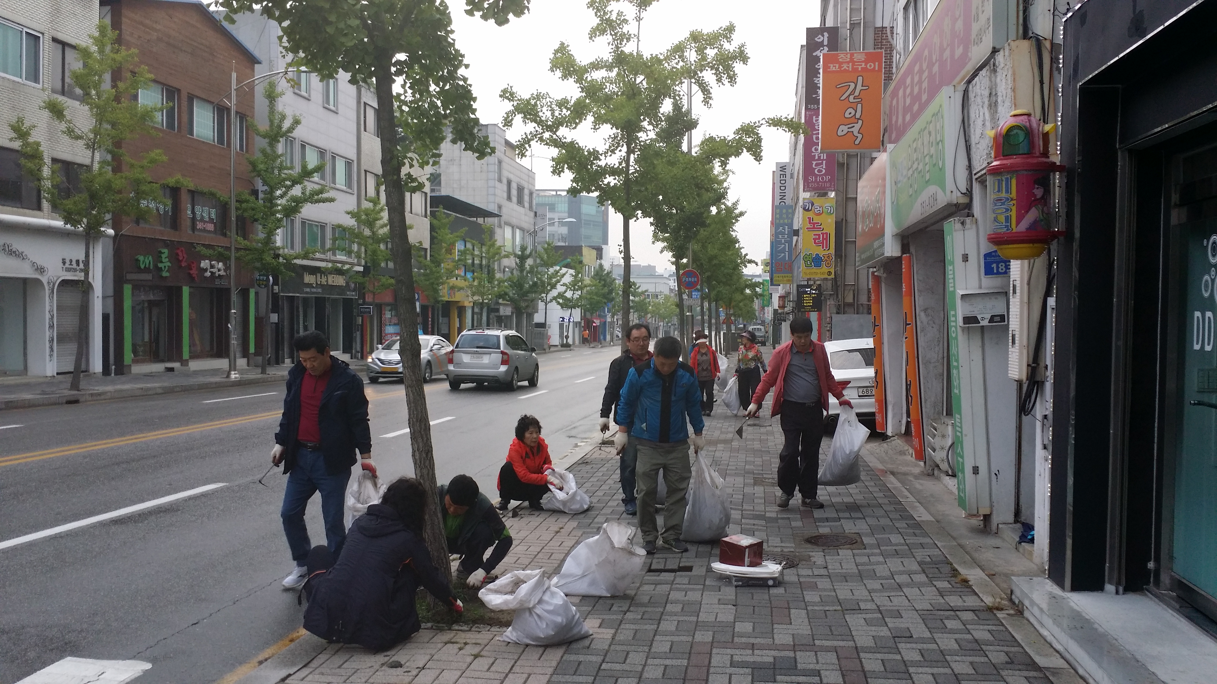 2016년 추석맞이 국토대청소 실시