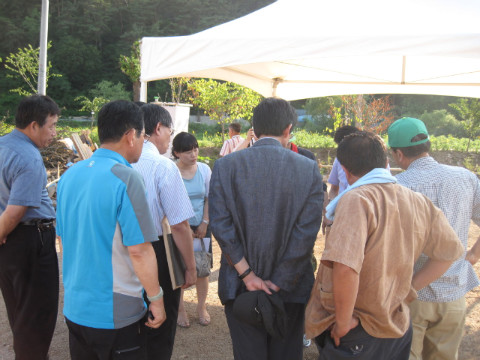 2010춘천비타민축제 중간 보고회