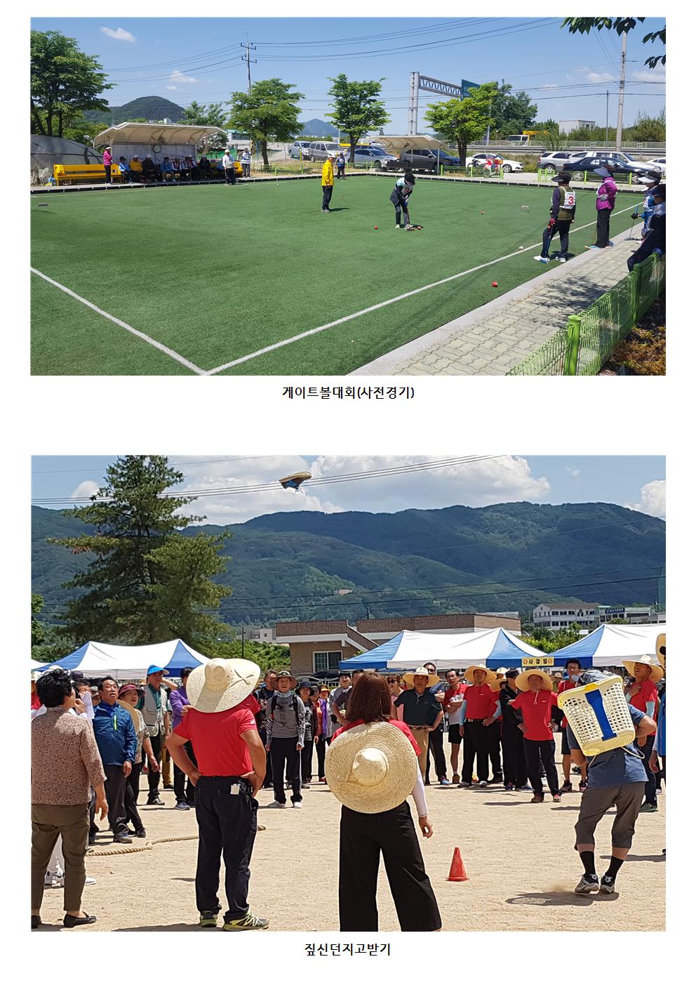 제13회 동내면민의 날 기념식 및 면민 한마당잔치(2)