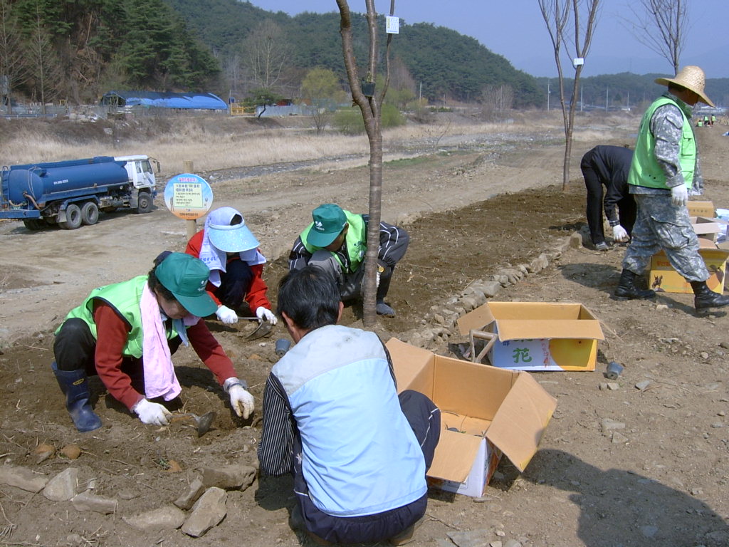 지내천 제방 야생화 식재