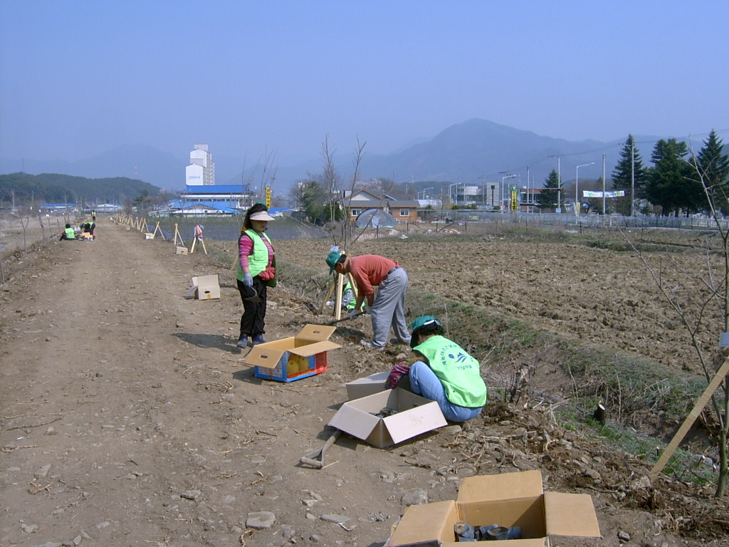 지내천 제방 야생화 식재