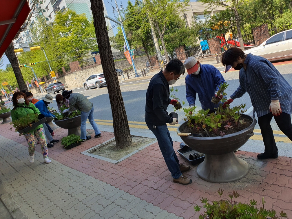 후평1동 시민 꽃정원 조성 꽃 식재활동