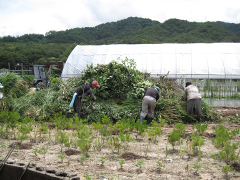 가산골마을 새/농추진단 퇴비 생산