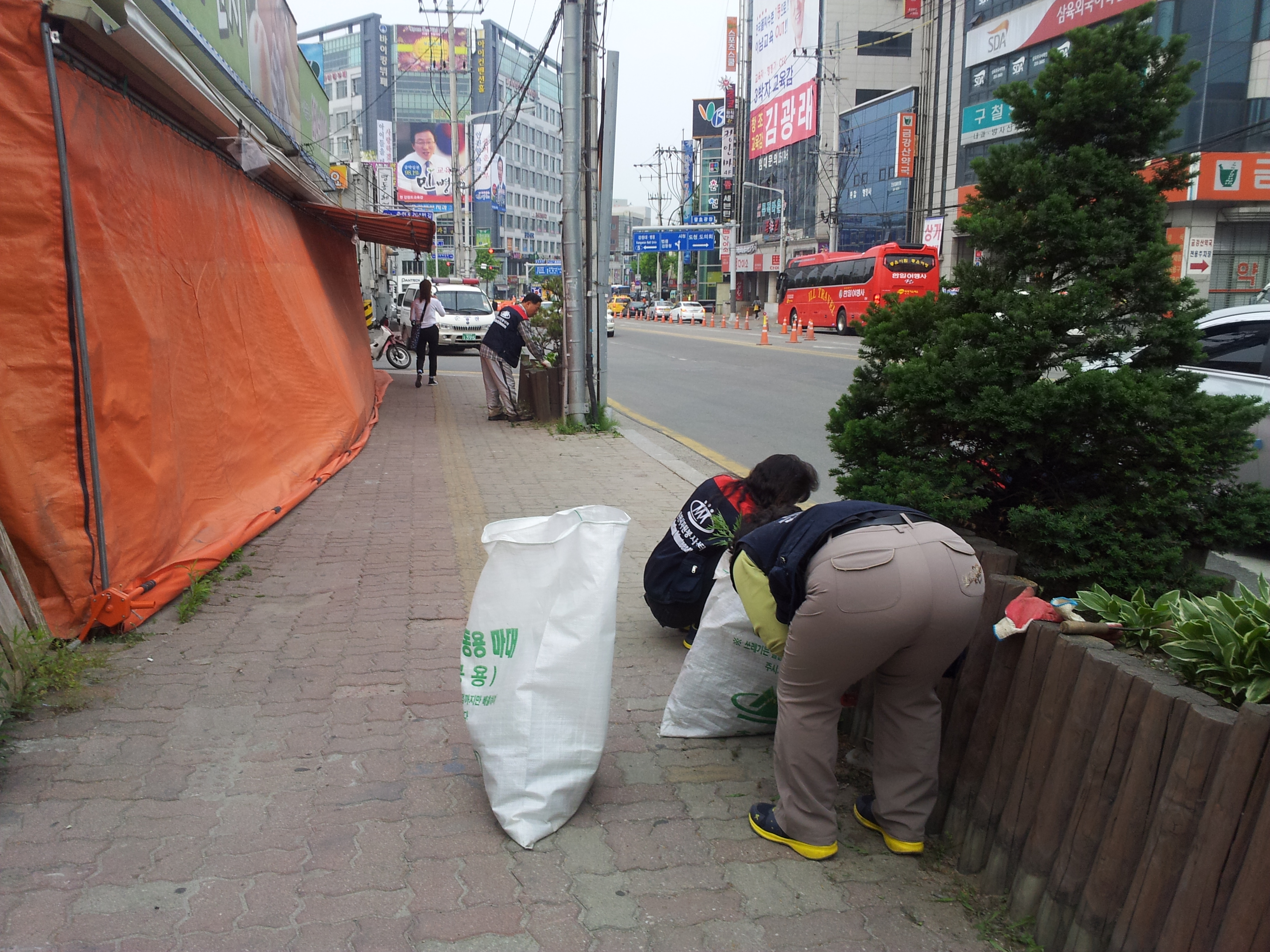 2014년 2차 가꾸미사업 식재
